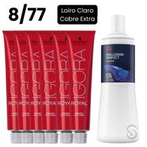 Igora royal 8/77 louro cl cobre (6 unidades) ox 20 v. 1000ml Igora royal 8/77 louro cl cobre (6 unidades) ox 20 v. 1000ml