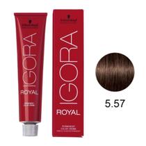 Igora Royal - Castanhos - 60g