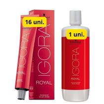 Igora Royal Coloração 16x 6/0 Louro Escuro +1x OX20v lt