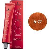 Igora Royal Tintura Louro Claro Cobre Extra 8-77 Igora Royal Tintura Louro Claro Cobre Extra 8-77