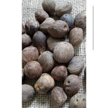 Ikins Pacote com 3 / Kit 3 ikin/Pacote com 3 iquins