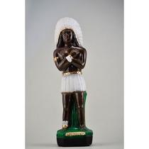 Imagem Caboclo Pena Branca Pe Escultura Gesso Estatua 20 cm Imagem Caboclo Pena Branca Pe Escultura Gesso Estatua 20 cm
