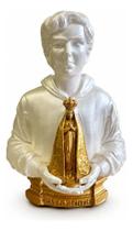 Imagem Carlo Acutis Com Nossa Senhora Aparecida Gesso 21cm Perolado