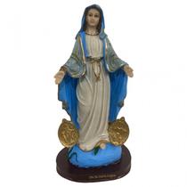 Imagem Católica Tamanho Grande em Resina-Selecione a Sua