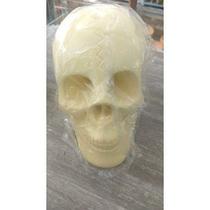 Imagem Cranio Creme Escultura Gesso Estatua Maravilhosa 20 Cm