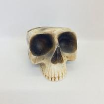 Imagem Cranio Porta Velas Bco Escultura Resina Estatua 10 Cm