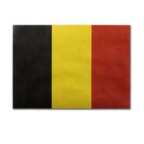 Imagem de arte de parede de pôster, decoração de casa, bandeira belga, arte de anime