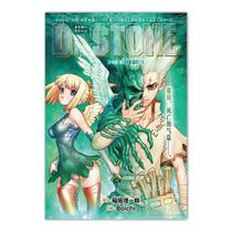 Imagem de arte de parede de pôster Dr Stones Anime Art 30x40cm Imagem de arte de parede de pôster Dr Stones Anime Art 30x40cm