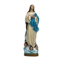 Imagem de Nossa Senhora da Conceição 30cm - Gesso Resinado