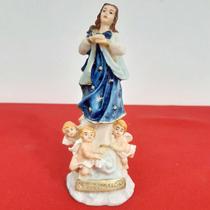 Imagem de Nossa Senhora da Imaculada Conceição de Resina - 15 cm