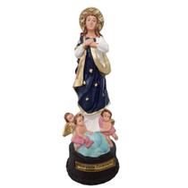 Imagem de Nossa Senhora da Imaculada Conceição em Borracha Inquebrável 22 cm