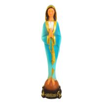 Imagem de nossa senhora da saúde