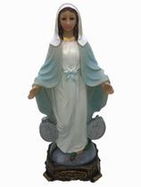 Imagem de Nossa Senhora das Graças com Medalha e Oração (TX32509T)