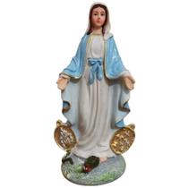 Imagem de Nossa Senhora das Graças de Resina 15 cm Imagem Católica Decoração Estatueta
