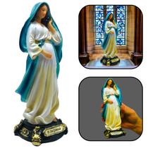 Imagem De Nossa Senhora Maria Grávida Resina 20 Cm Imagem De Nossa Senhora Maria Grávida Resina 20 Cm