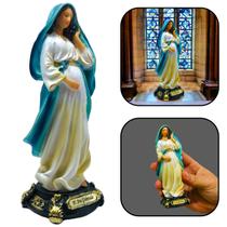 Imagem De Nossa Senhora Maria Grávida Resina Pequena 12 Cm