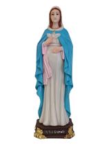 Imagem de Nossa Senhora Santa Maria Grávida 20cm em Resina