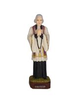 Imagem de São João Maria Vianei 15cm em resina