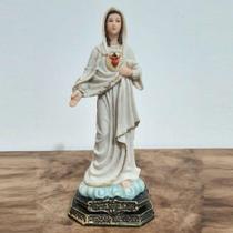 Imagem do Sagrado Coração de Maria em Resina - 20 cm - Lojinha Uai