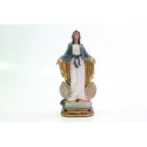 Imagem escultura resina santos nossa senhora medalha milagrosa 9 cm