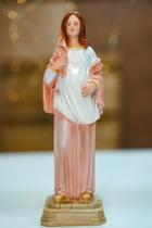 Imagem Estatueta Nossa Senhora Gravida 22cm Rosa Resina - Acaryart
