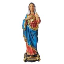 Imagem imaculado sagrado coração de maria 23cm em resina