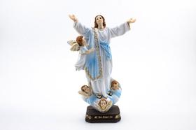 Imagem Nossa Senhora da Assunção Resina 19 cm