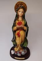 Imagem Nossa Senhora Da Rosa Mística - Resina 30 cm