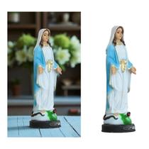 Imagem Nossa Senhora das Graças Resina 20 cm