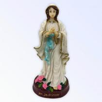 Imagem Nossa Senhora de Lourdes Escultura Resina 14 cm Imagem Nossa Senhora de Lourdes Escultura Resina 14 cm