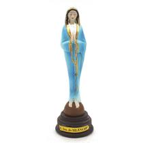 Imagem Nossa Senhora do Silêncio Azul Resina 13 cm