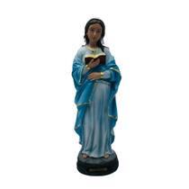 Imagem Nossa Senhora Grávida Resina Nacional 30 cm
