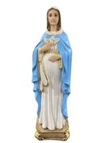 Imagem Nossa Senhora Maria Gravida Doce Espera Estátua - Dr Decorações