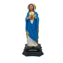 Imagem Sagrado Coração de Maria Borracha Inquebrável 20 Cm