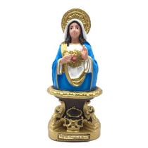 Imagem Sagrado Coração de Maria Borracha Inquebrável 23 Cm