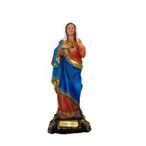 Imagem sagrado coração de maria