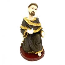 Imagem São Francisco de Assis Escultura Resina 21 cm Imagem São Francisco de Assis Escultura Resina 21 cm