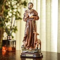 Imagem São Francisco Resina Importada 30cm