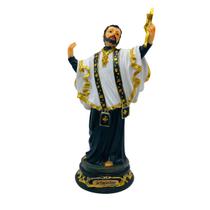 Imagem São Francisco Xavier Resina 20 cm