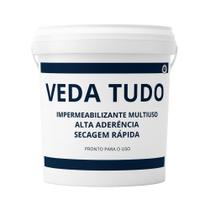Impermeabilizante CUMC 10L Vedatudo Multiuso: Selante Transparente Protege Rachaduras e Infiltrações Impermeabilizante CUMC 10L Vedatudo Multiuso: Selante Transparente Protege Rachaduras e Infiltrações