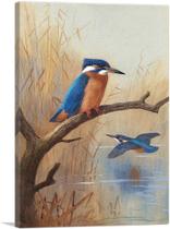 Impressão artística em tela ARTCANVAS A Pair Of Kingfishers 1914 45x30cm Impressão artística em tela ARTCANVAS A Pair Of Kingfishers 1914 45x30cm
