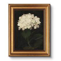 Impressão artística em tela HUARCEY White Hydrangea 20x25cm com moldura Impressão artística em tela HUARCEY White Hydrangea 20x25cm com moldura