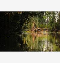 Impressão Fine Art - Caminho de Luz I