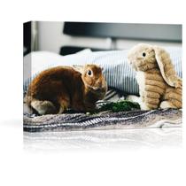 Impressões em tela NWT Custom com suas fotos para animais de estimação 40x60cm Impressões em tela NWT Custom com suas fotos para animais de estimação 40x60cm