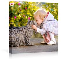 Impressões em tela NWT Custom com suas fotos para animais de estimação 60x60cm Impressões em tela NWT Custom com suas fotos para animais de estimação 60x60cm