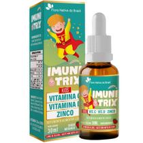 Imunitrix Vitamina C, D3 E Zinco 30Ml Flora Nativa - Morango