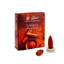Incenso de Cone Canela - Padmini - 10 Cones com Mini Incensário