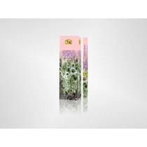 Incenso indiano taj - caixa com 7 varetas - vários aromas. Incenso indiano taj - caixa com 7 varetas - vários aromas.
