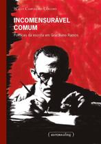 Incomensurável comum: políticas da escrita em graciliano ramos