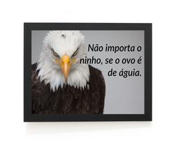 Incrivel quadro motivacional com frase aguia da sabedoria
